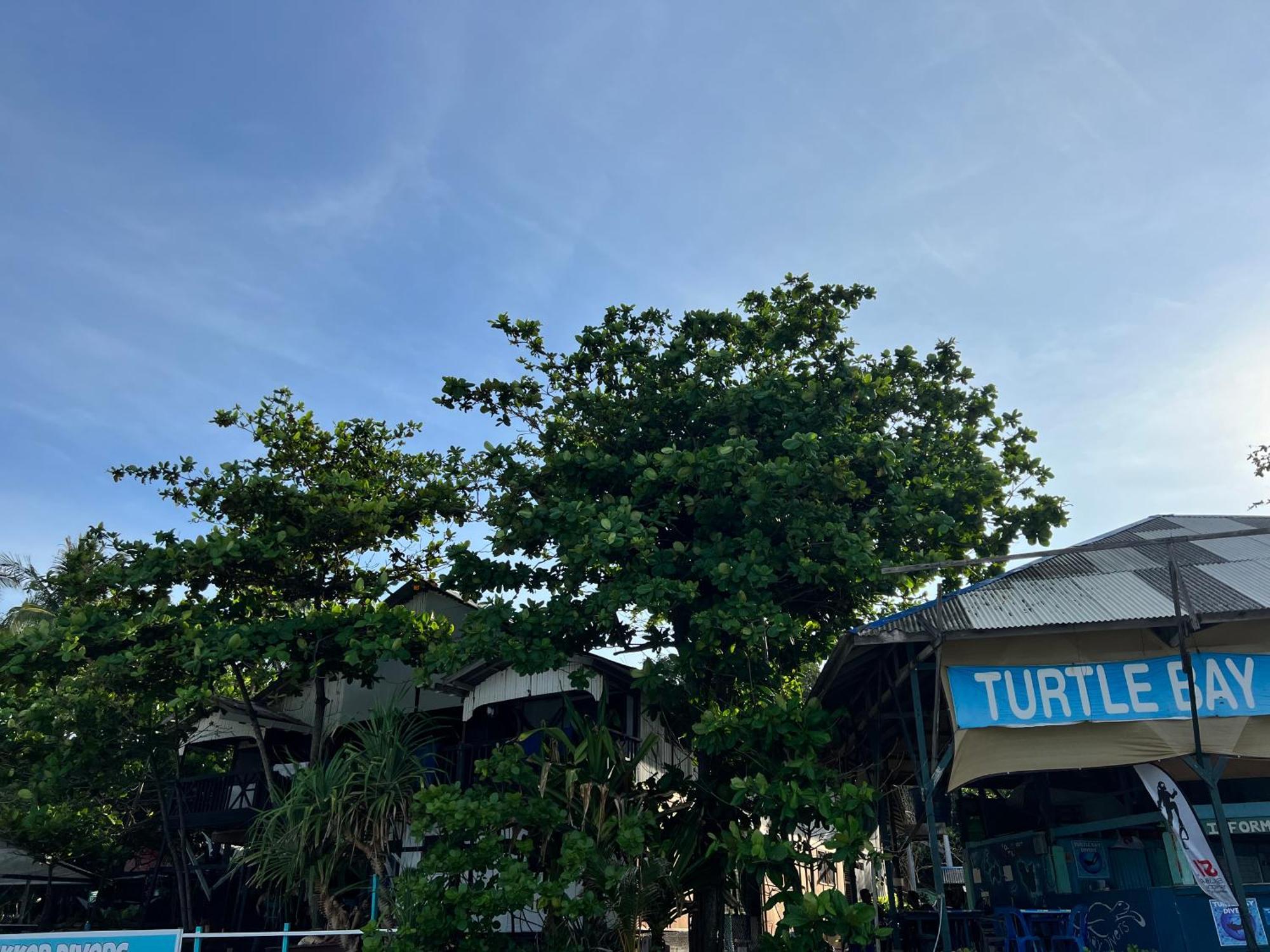 Ohlala Guesthouse Ostrov Perhentian Exteriér fotografie